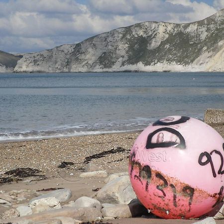 Home In Dorset, Near Jurassic Coast And Arne Wareham Eksteriør billede