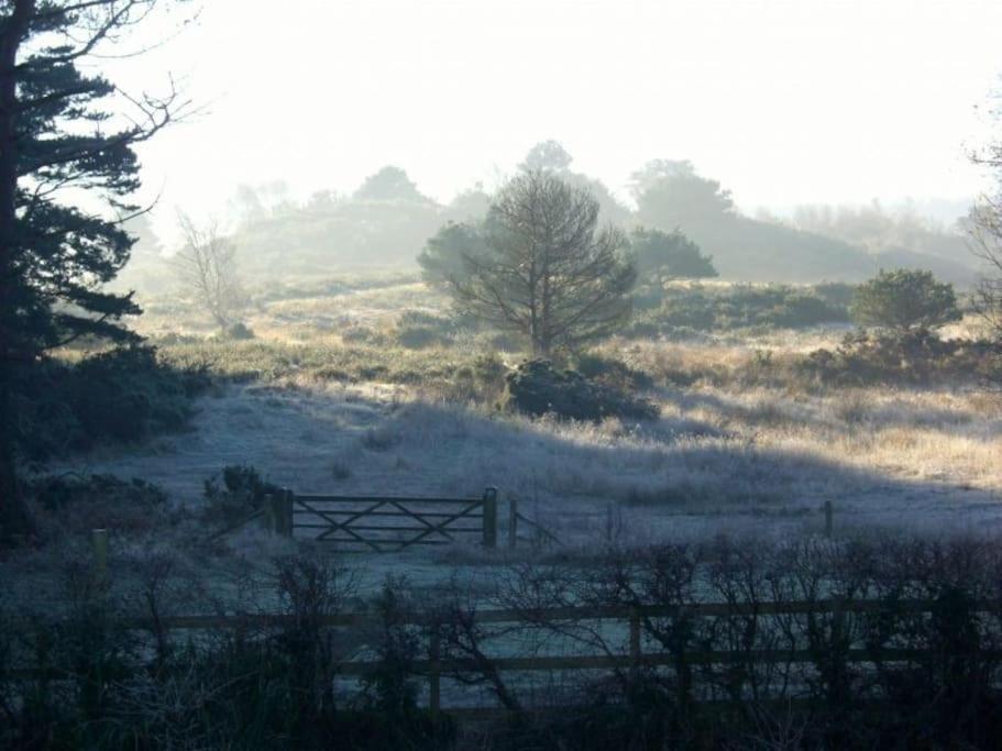 Home In Dorset, Near Jurassic Coast And Arne Wareham Eksteriør billede
