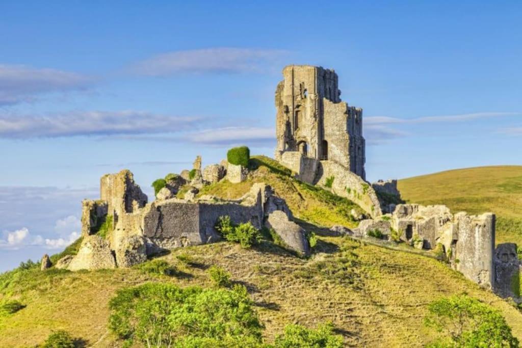 Home In Dorset, Near Jurassic Coast And Arne Wareham Eksteriør billede
