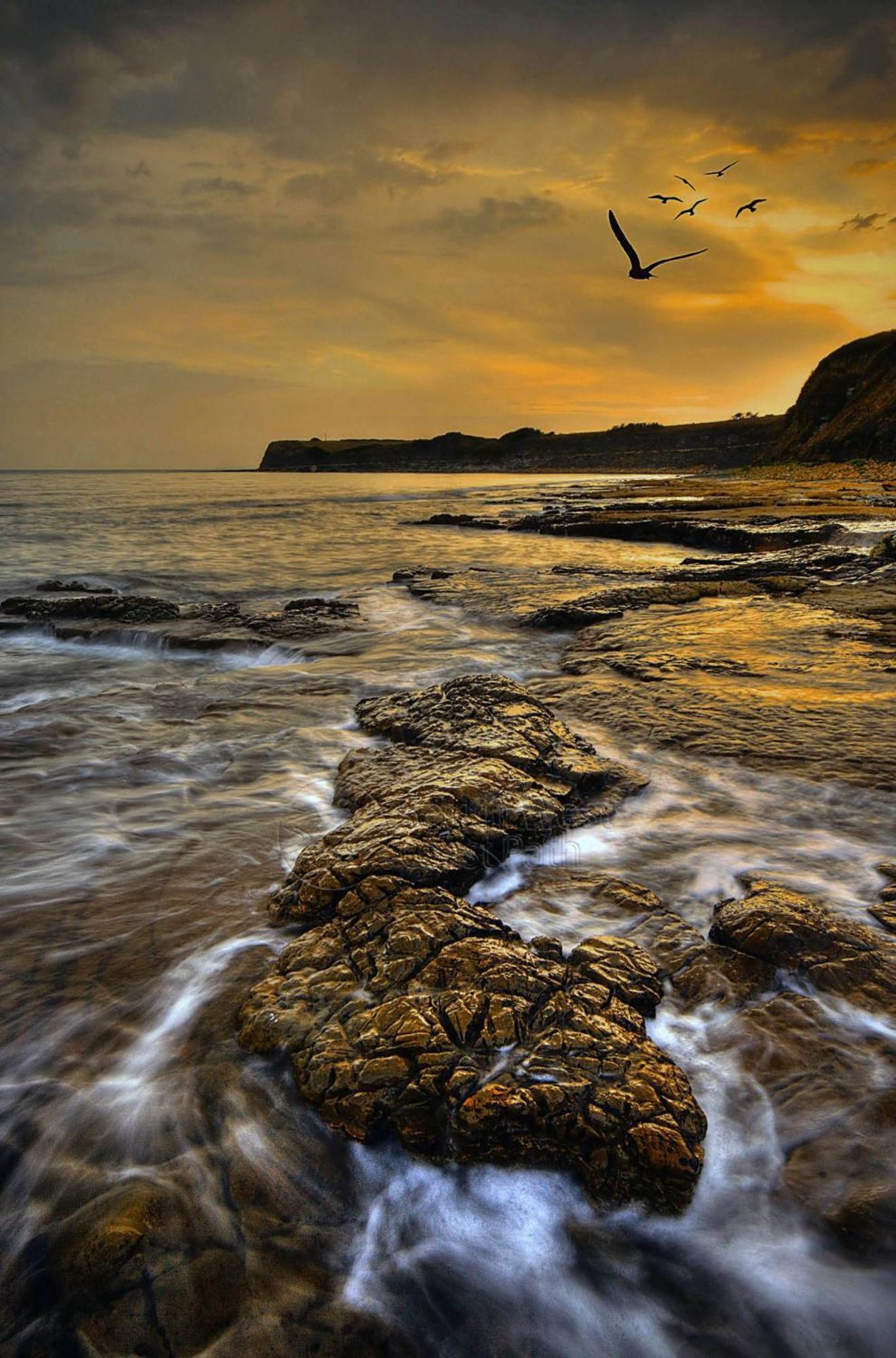 Home In Dorset, Near Jurassic Coast And Arne Wareham Eksteriør billede