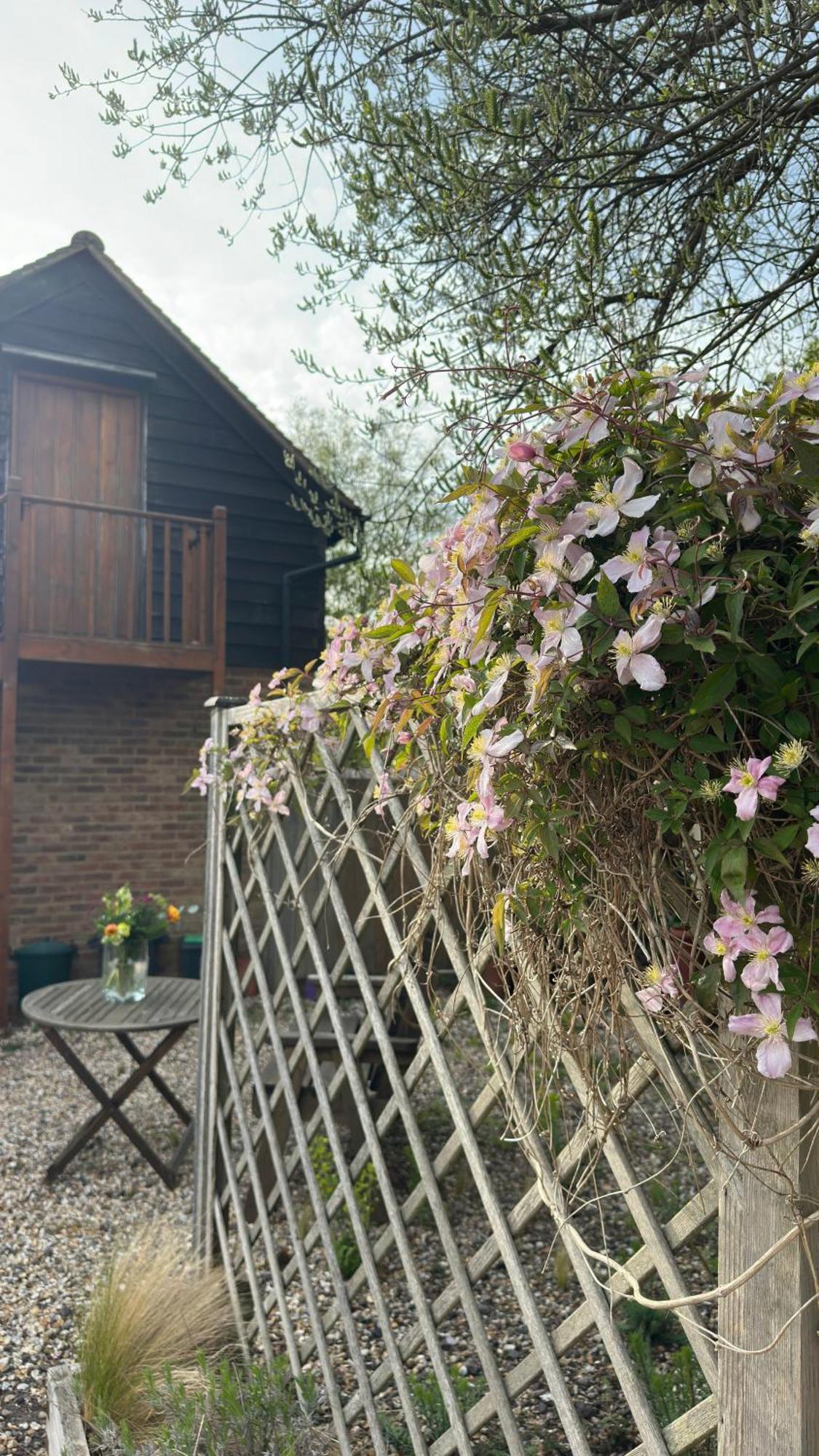 Home In Dorset, Near Jurassic Coast And Arne Wareham Eksteriør billede